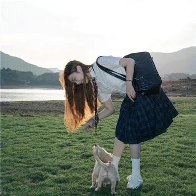 猎狐行动
